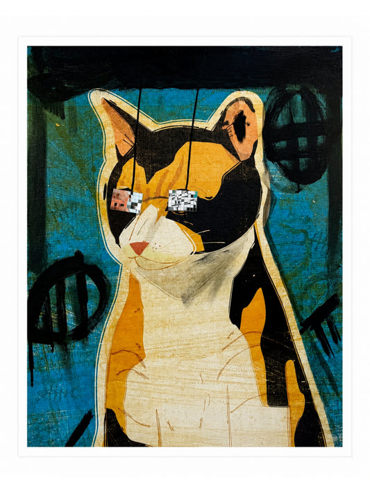 DISKO Cat